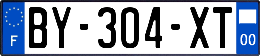 BY-304-XT