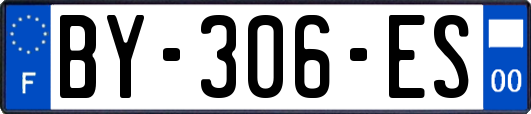 BY-306-ES