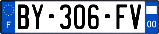 BY-306-FV