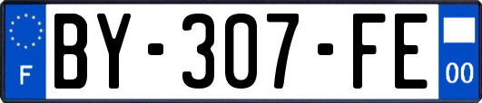 BY-307-FE