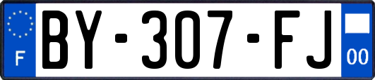BY-307-FJ