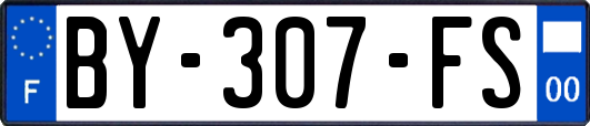BY-307-FS