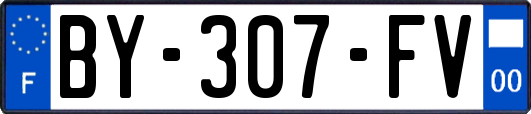 BY-307-FV