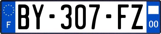 BY-307-FZ