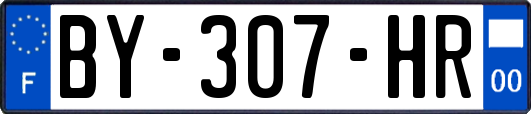 BY-307-HR