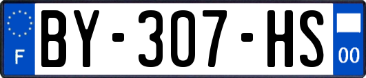 BY-307-HS