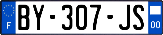BY-307-JS
