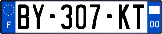 BY-307-KT