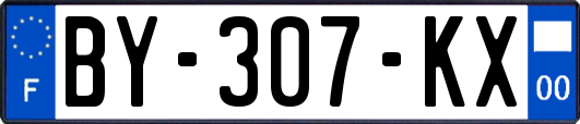 BY-307-KX