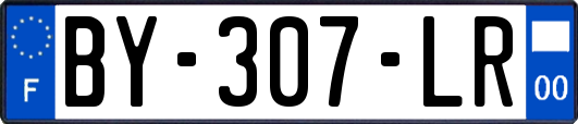 BY-307-LR