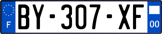 BY-307-XF