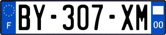 BY-307-XM
