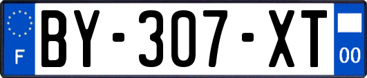 BY-307-XT