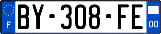 BY-308-FE