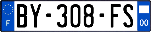 BY-308-FS