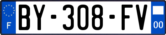 BY-308-FV