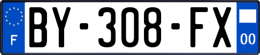 BY-308-FX