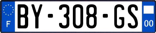 BY-308-GS