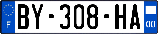 BY-308-HA