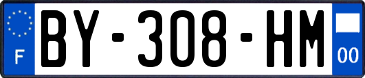 BY-308-HM