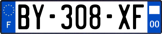 BY-308-XF