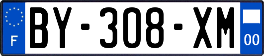 BY-308-XM