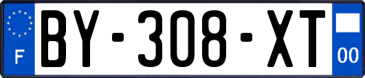 BY-308-XT