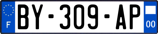 BY-309-AP