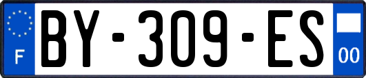BY-309-ES