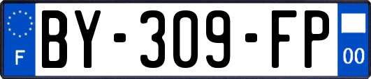 BY-309-FP