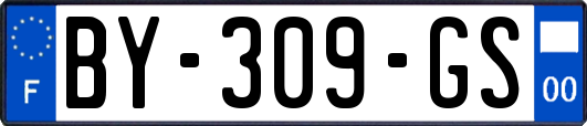 BY-309-GS