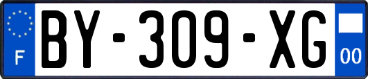 BY-309-XG