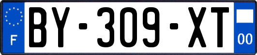 BY-309-XT