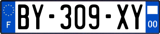 BY-309-XY