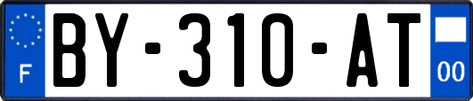 BY-310-AT