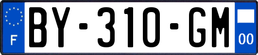 BY-310-GM