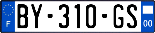 BY-310-GS