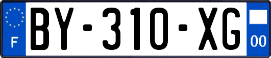 BY-310-XG