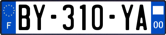 BY-310-YA