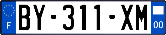 BY-311-XM
