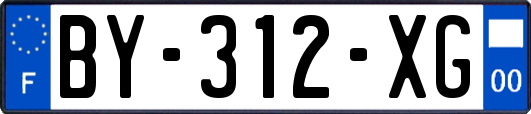 BY-312-XG