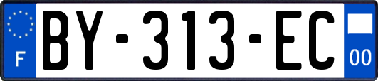 BY-313-EC