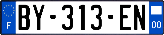 BY-313-EN