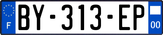 BY-313-EP