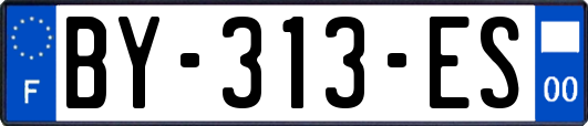 BY-313-ES