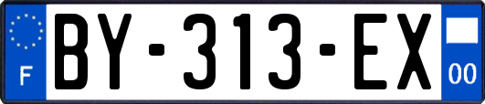 BY-313-EX