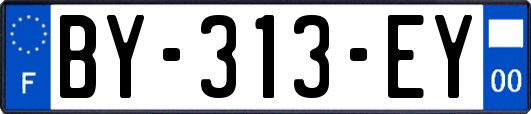 BY-313-EY