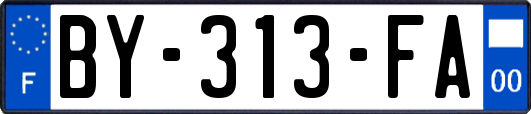 BY-313-FA