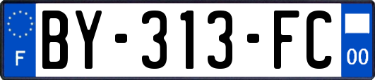 BY-313-FC