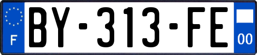 BY-313-FE